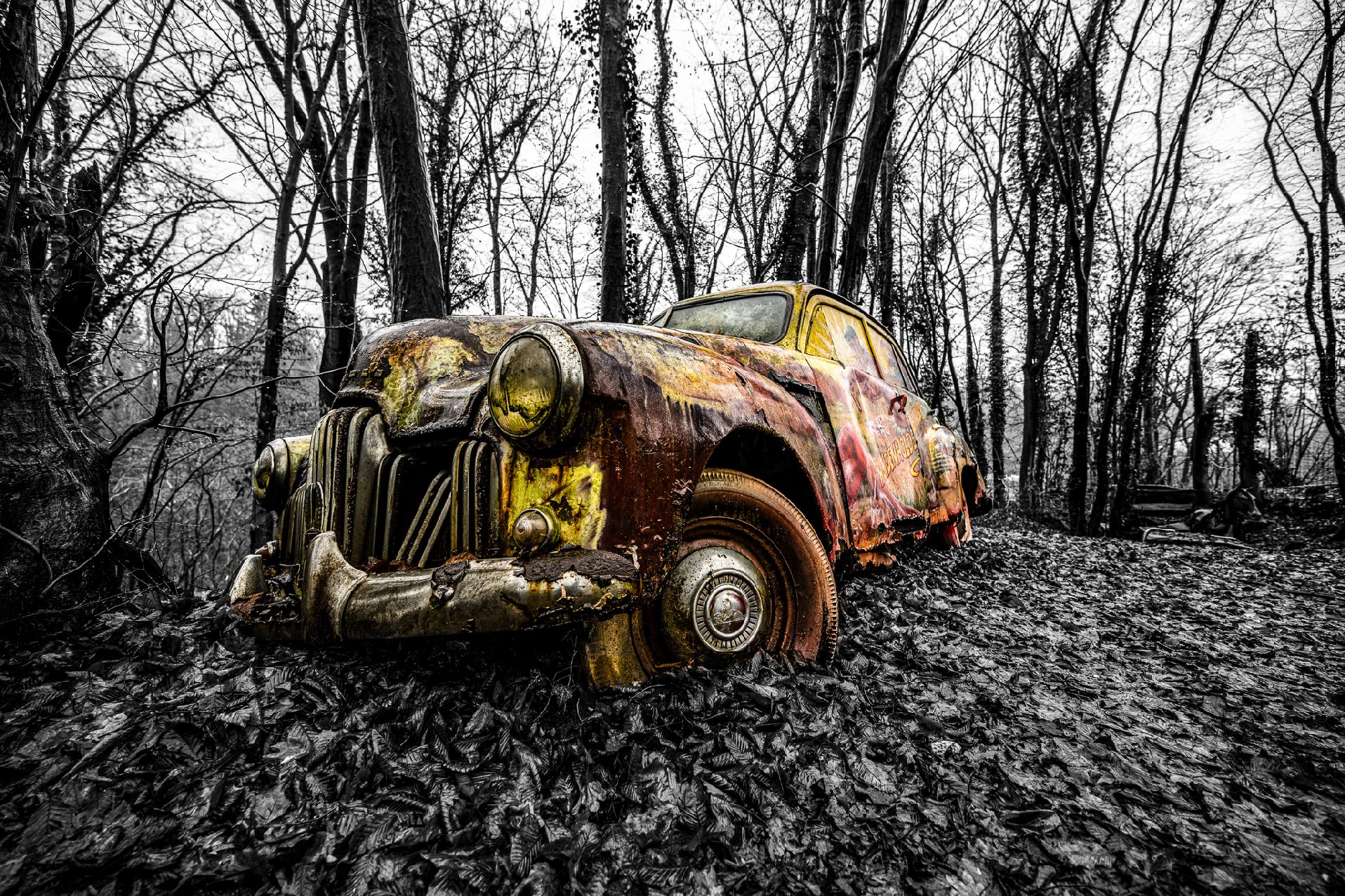 Autoskulpturenpark
