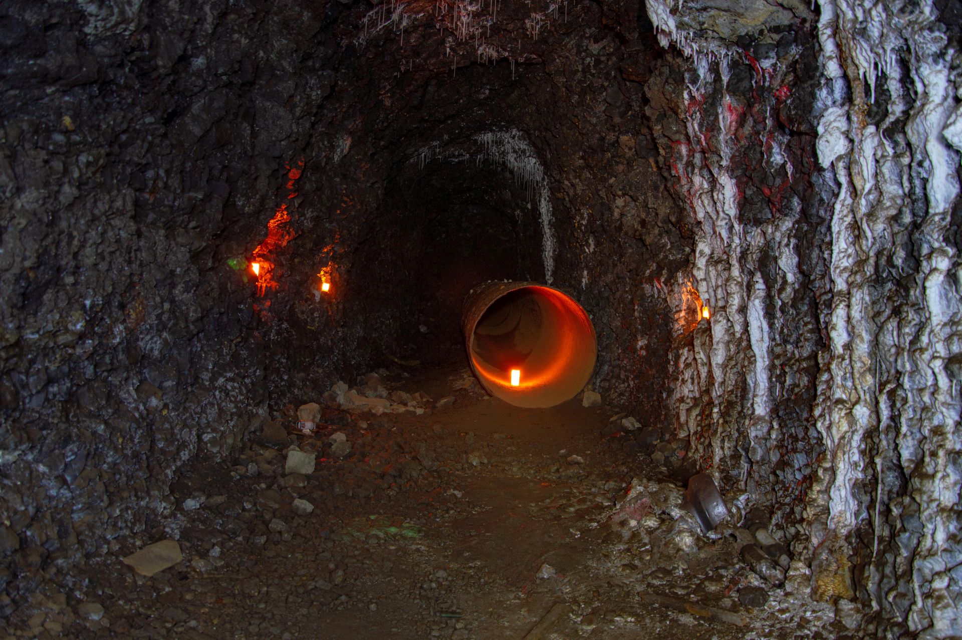Honigbunker